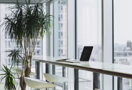 Bright workspace with tall windows, indoor plants, a high table, and a laptop.
